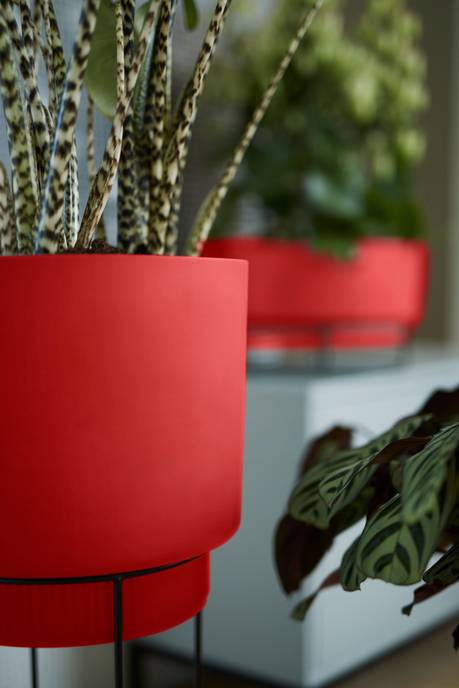 b.for studio rund 30cm brillantrot